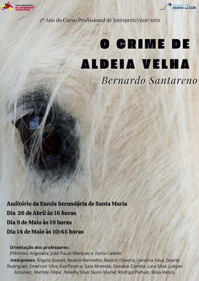 O Crime de Aldeia Velha resize