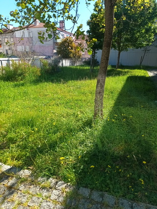 Terreno inicial resize