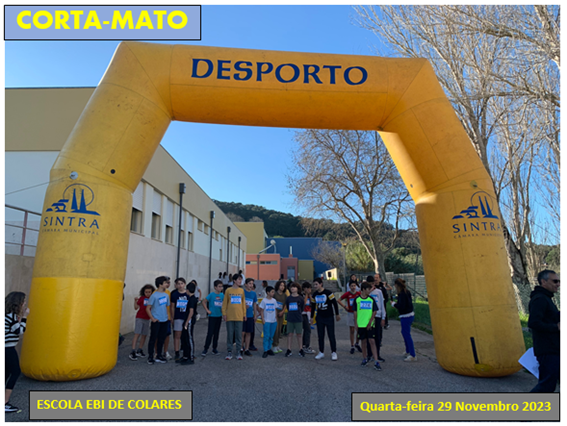 corta mato23