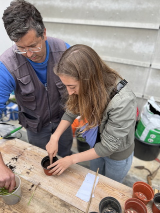 cecd m resize