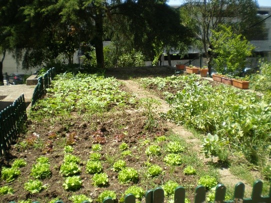 HortaEco